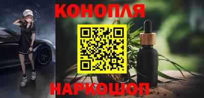 кокс Можга