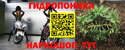 дмт Моздок