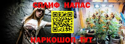 кокс Можга